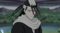 Bleach - 251 | Random Curiosity